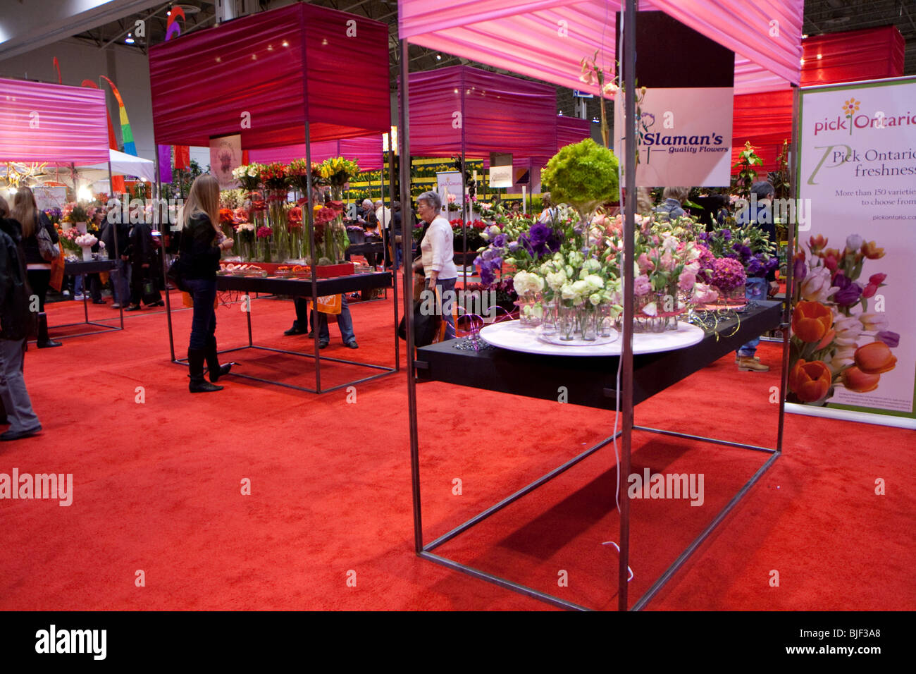 Plantes Fleurs Fleuristes Boutiques Greenhouse Growers Ontario Canada Tapis Rouge Vitrine affichage Arrangement Banque D'Images