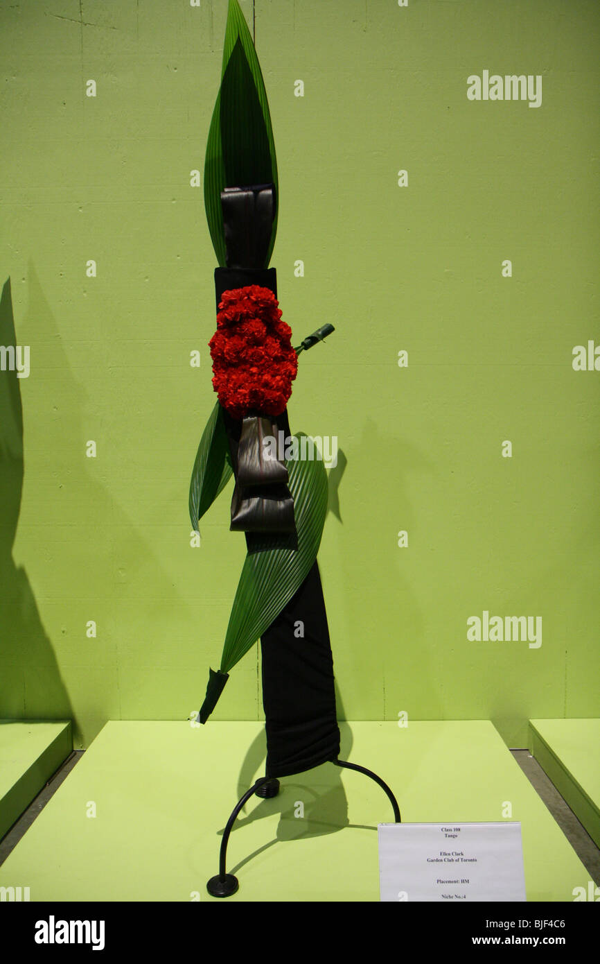 Aspidistra Canada bloom cordyline curculigo capituler dianthus fleurs événement garden show Banque D'Images