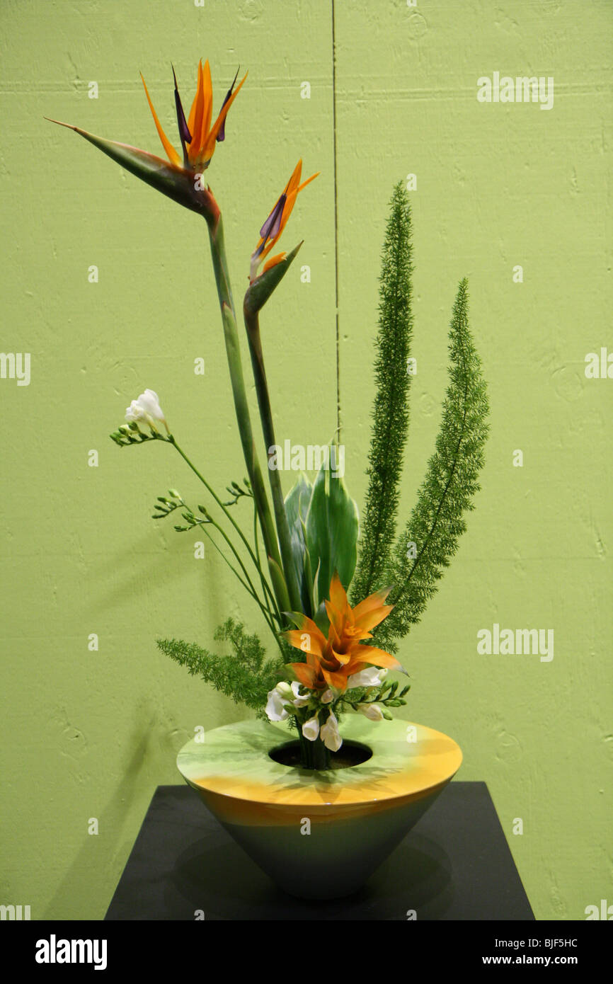 Fleurs plantes naturelles de fond vert Banque D'Images