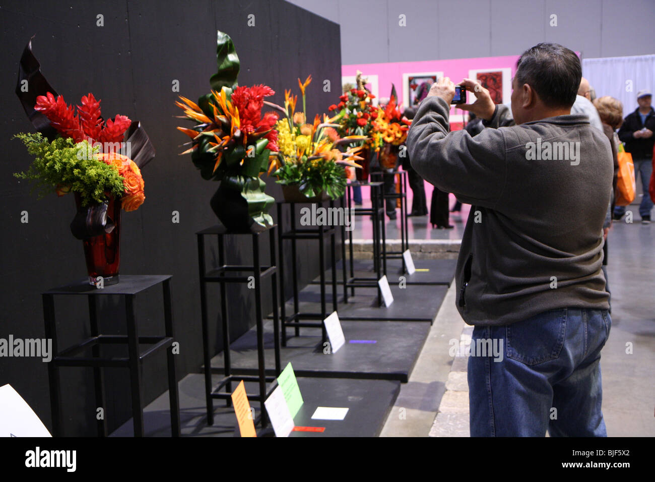 Vieux qui prend une photo du bouquet à l'affiche au Canada Blooms Show jardinage Banque D'Images