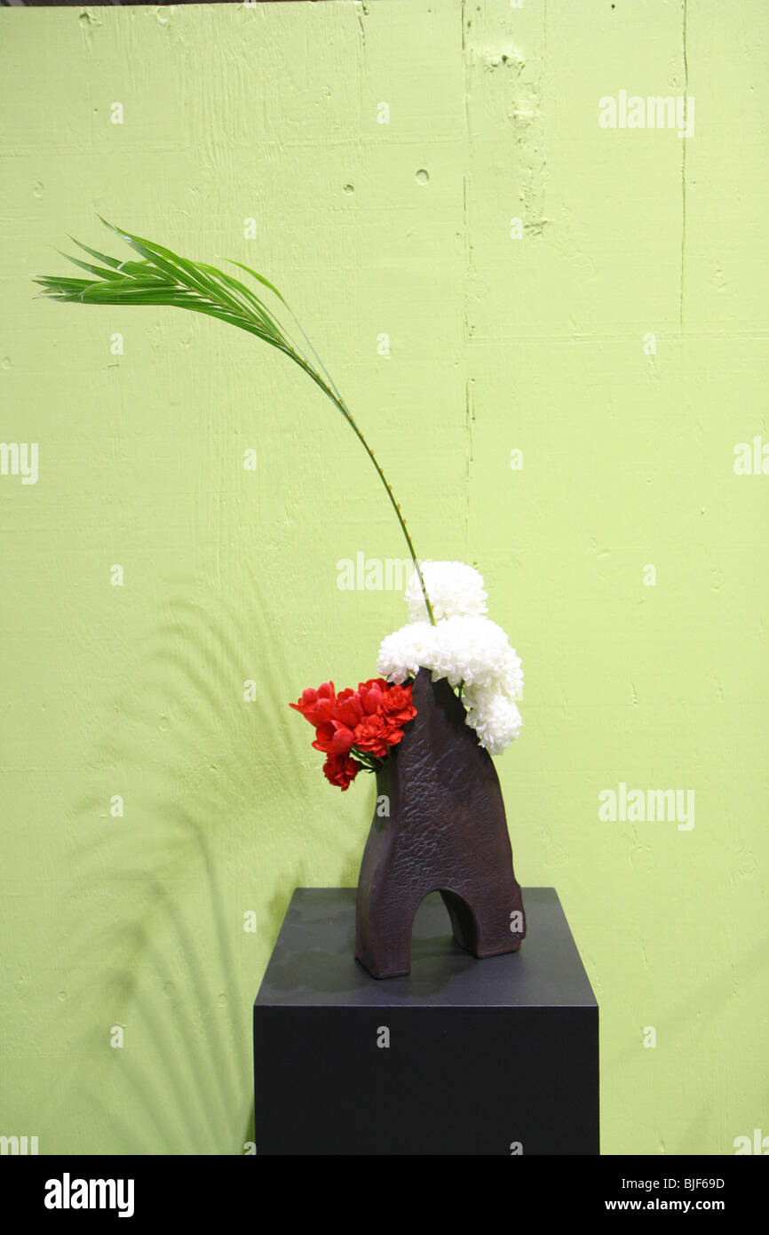 Fleurs plantes naturelles de fond vert Banque D'Images