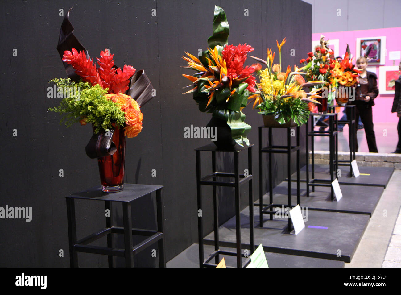 Les couleurs de l'image du bouquet au Canada blooms Flower Show et le jardinage Banque D'Images