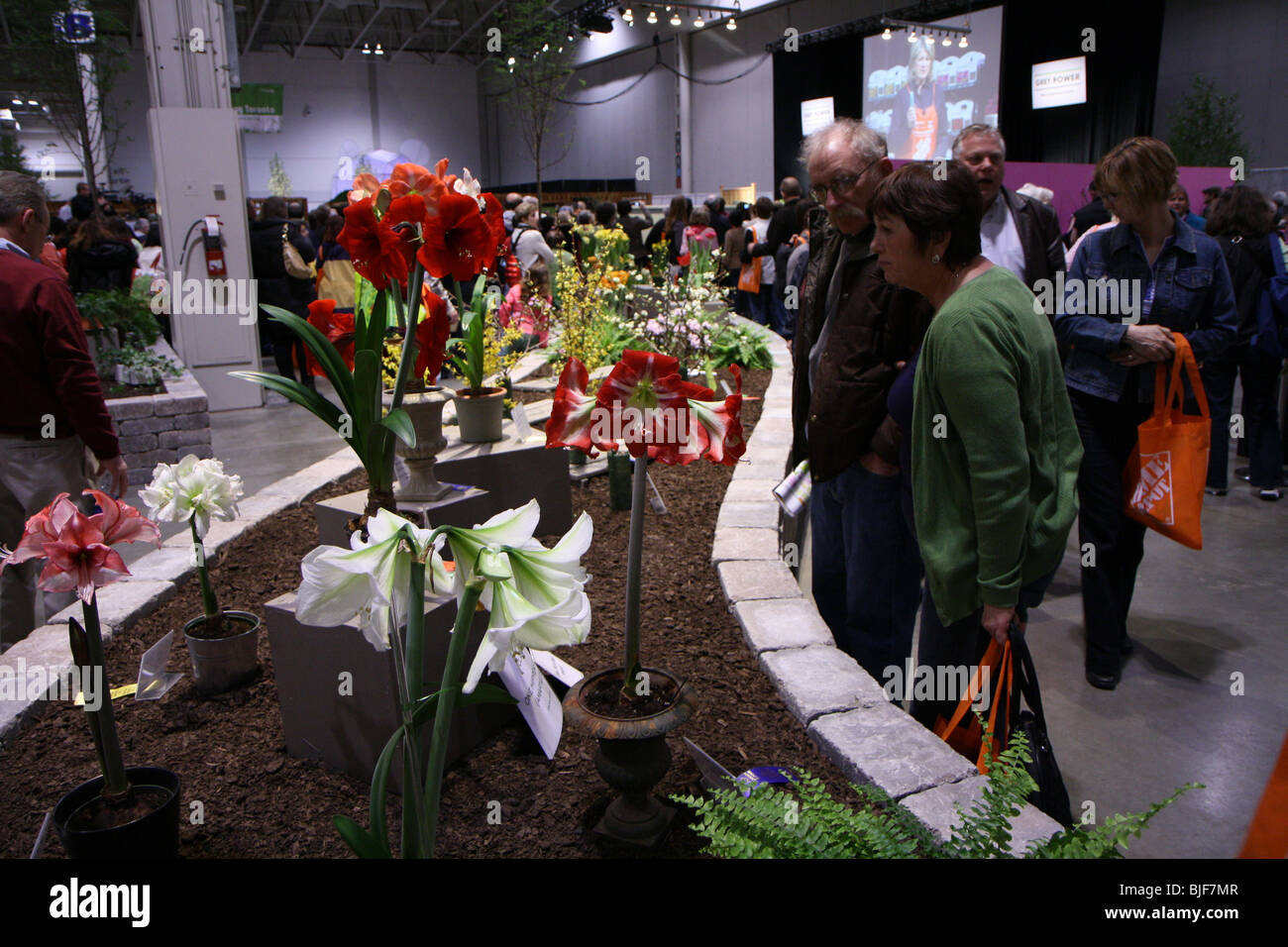 L'observation des visiteurs visiteurs affichage fleur plante plantes fleurs foule le sol people walking Banque D'Images