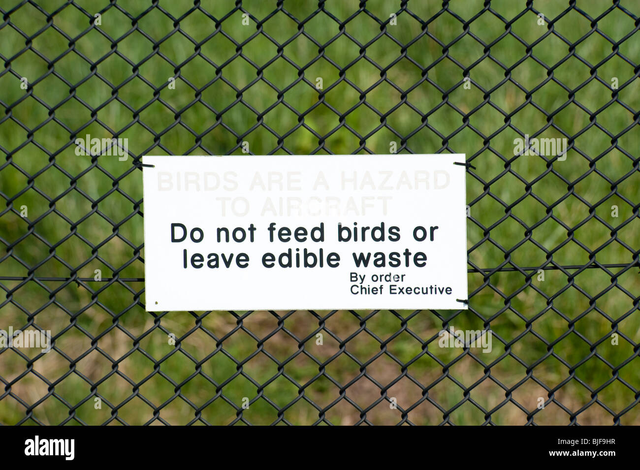 Ne pas nourrir les oiseaux ou de laisser des déchets comestibles - aéroport le panneau d'avertissement Banque D'Images