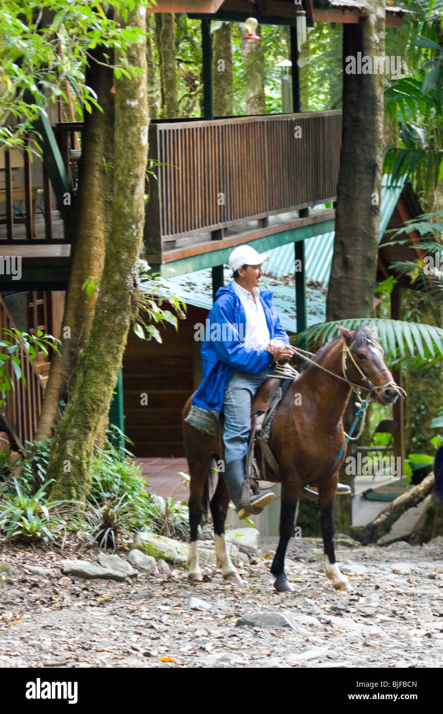 Horseriding Parque Nacional La Amistad Panama Banque D'Images