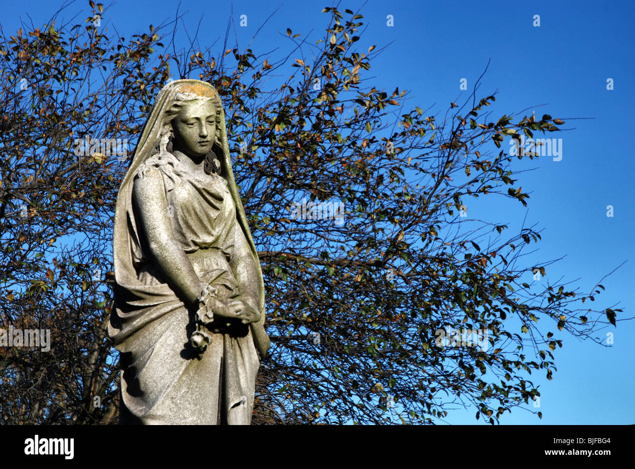 Statue de femme en deuil dans un contexte de branches et un ciel bleu. Banque D'Images