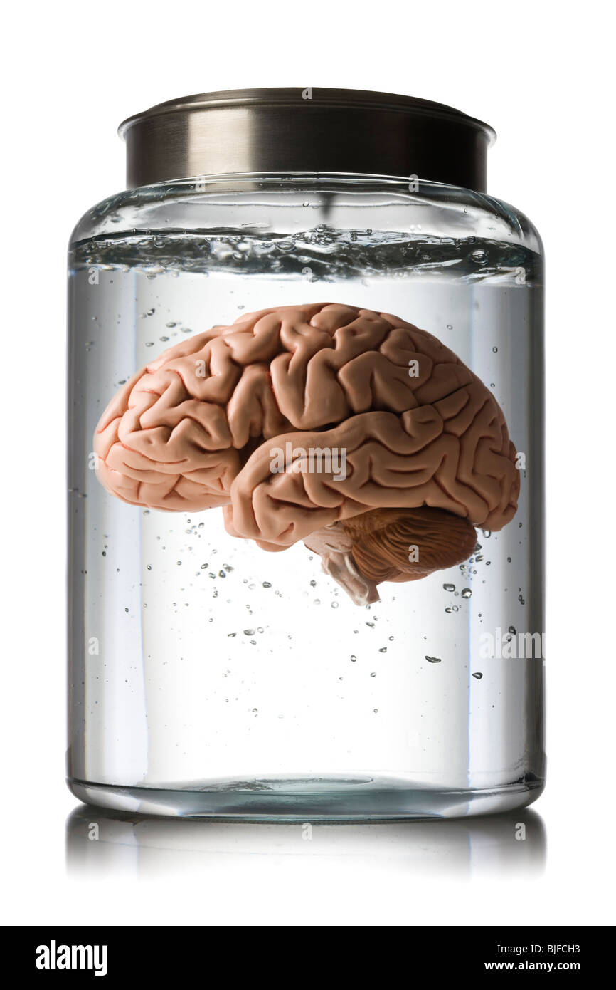 cerveau dans un bocal Banque D'Images