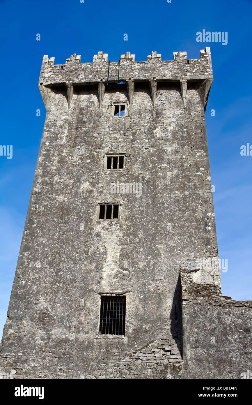 Le château de Blarney en Co.Cork, République d'Irlande, accueil à célèbre Blarney Stone Banque D'Images