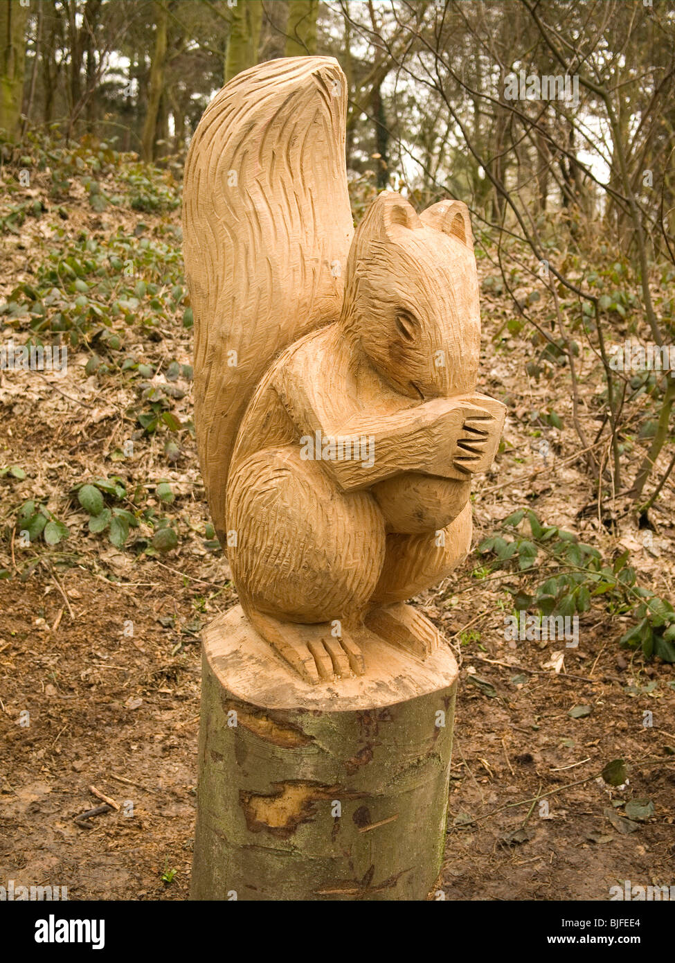 Sculpture en bois d'un écureuil par Steve Iredale sculpteur tronçonneuse local dans Errington Woods New Marske Cleveland UK Banque D'Images