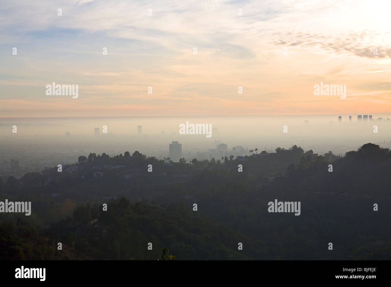 Hollywood Hills Los Angeles avec le smog et le brouillard, Los Angeles, Californie, USA Banque D'Images