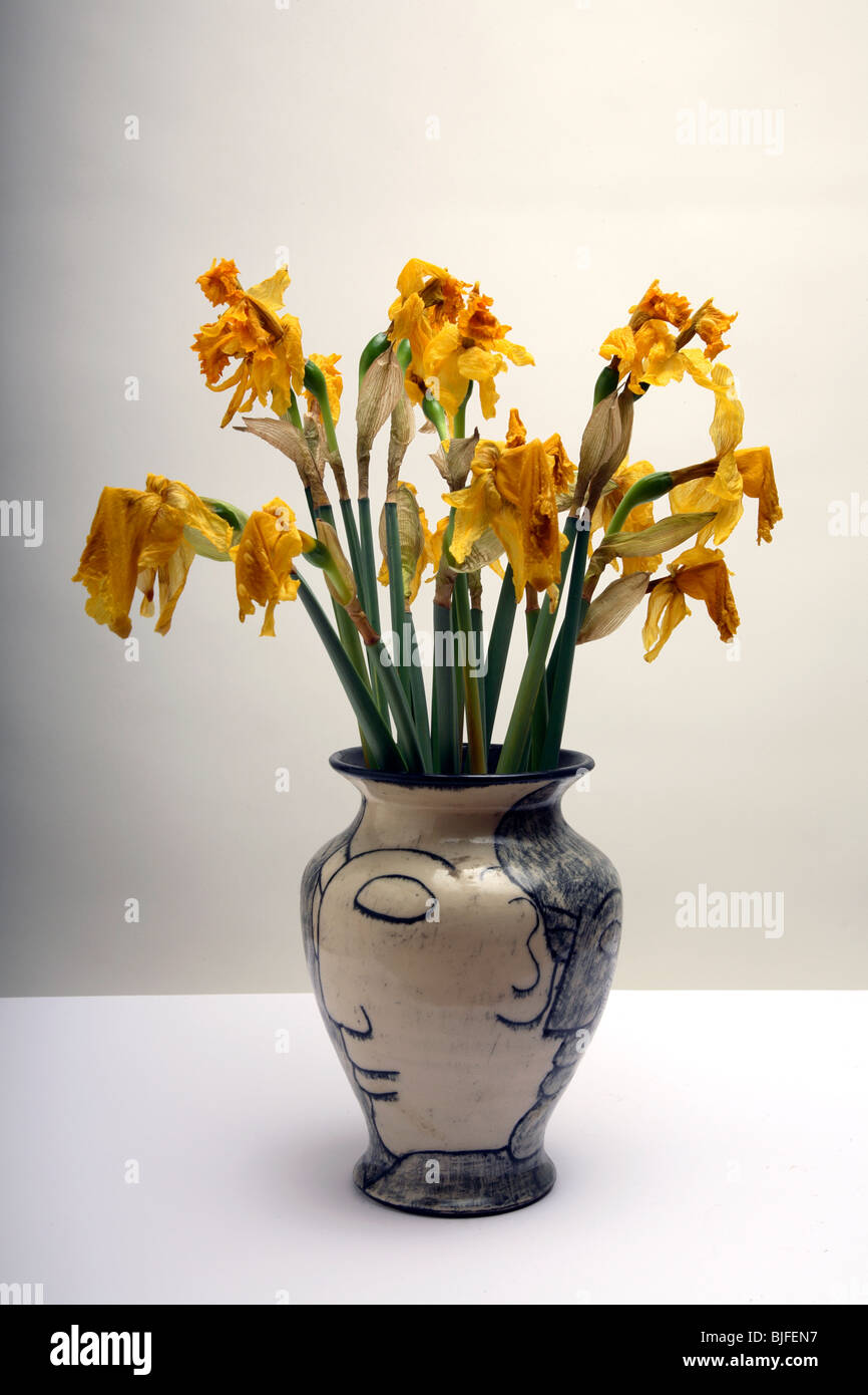 Jonquilles morts dans un vase Banque D'Images