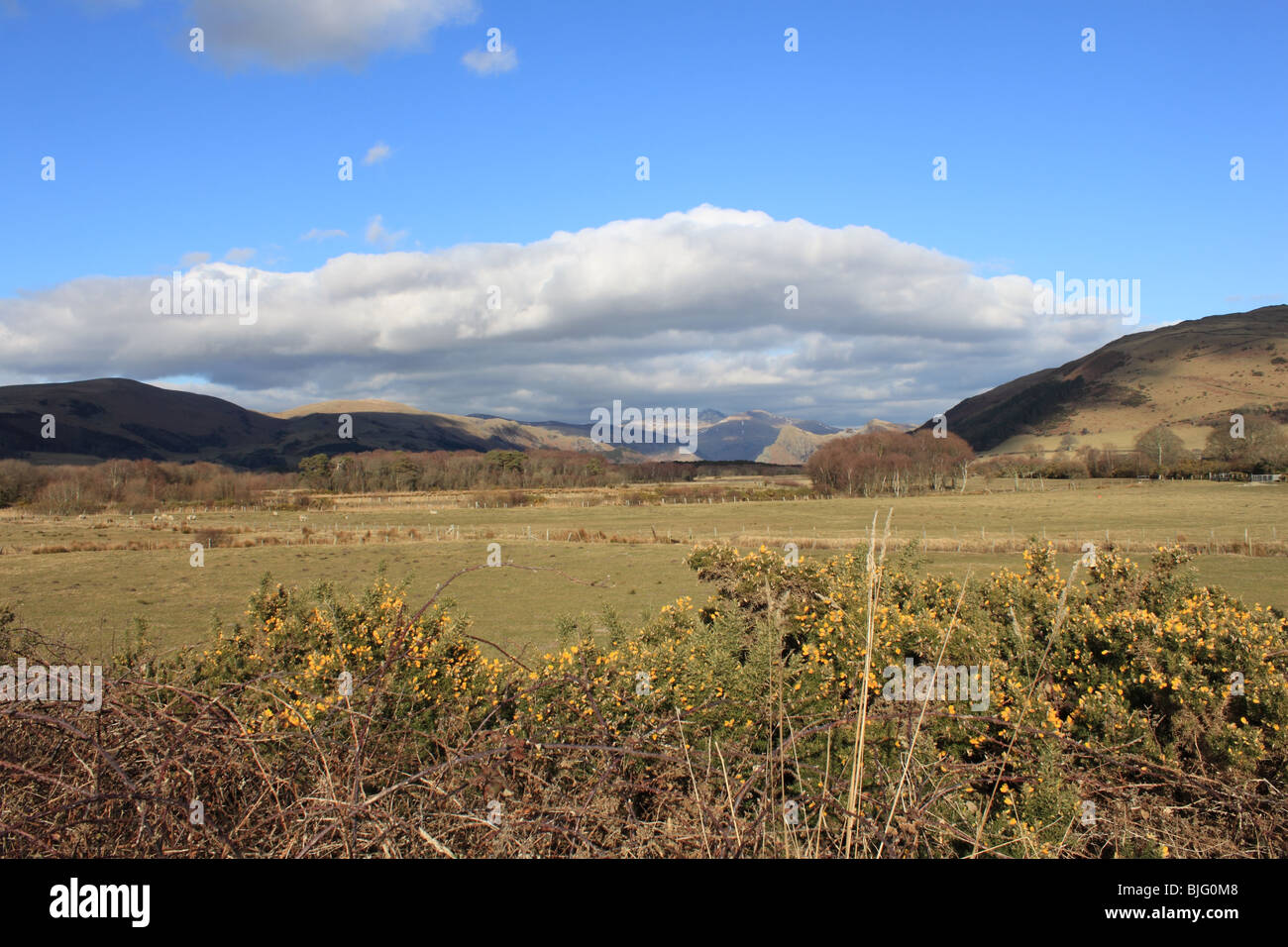 Dysynni Valley dans le Parc National de Snowdonia, le nord du Pays de Galles, Royaume-Uni, Europe Banque D'Images
