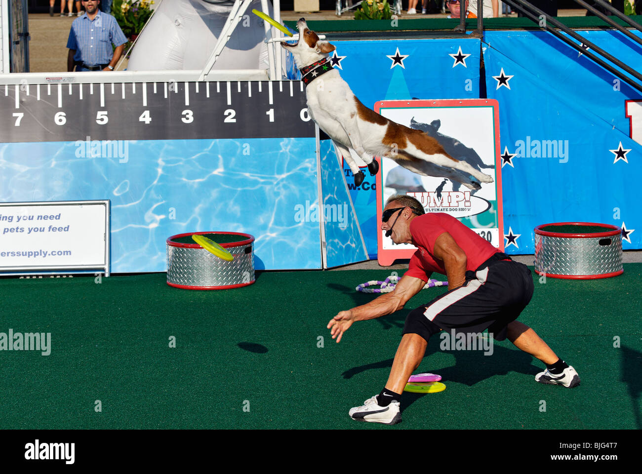 Démonstration de chiens formés sautant au dessus du formateur pour attraper le disque volant à 2009 Kentucky State Fair à Louisville (Kentucky) Banque D'Images