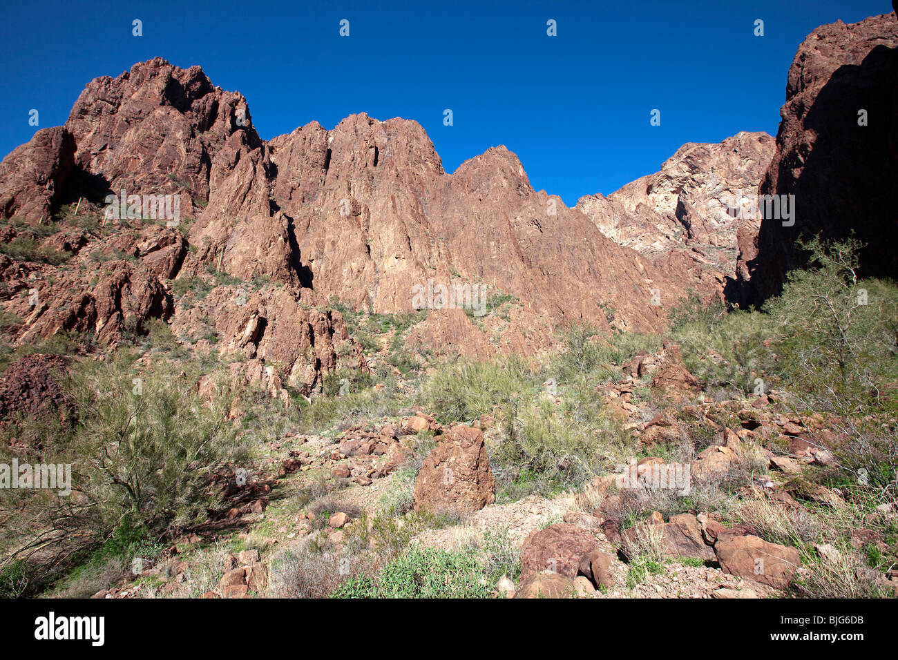 La rhyolite volcanique dans la région de Palm Canyon, KOFA Wildlife Refuge, Arizona Banque D'Images