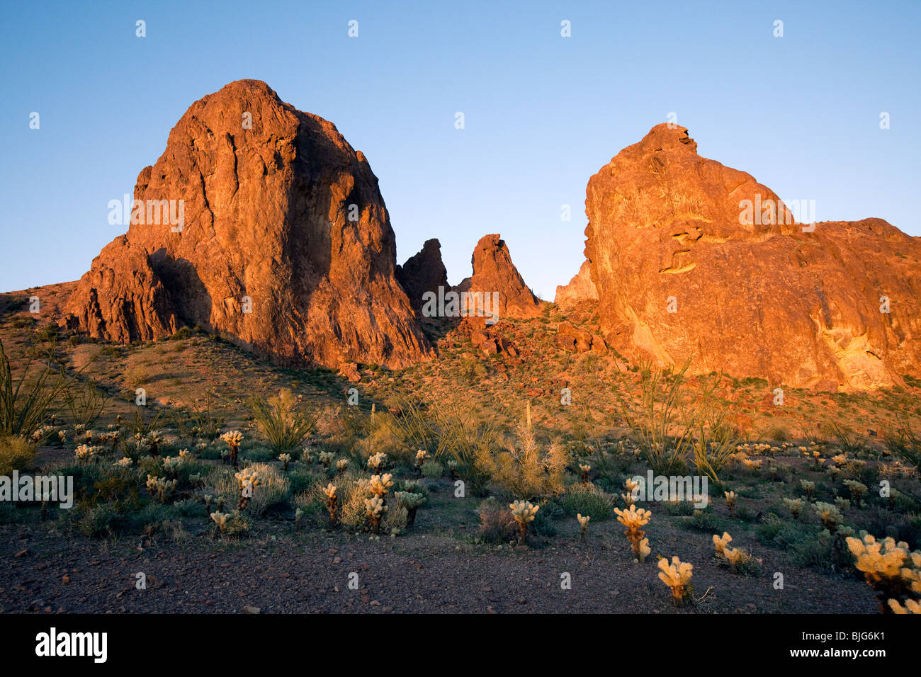 Monolithes de roche, KOFA Wildlife Refuge, Arizona Banque D'Images