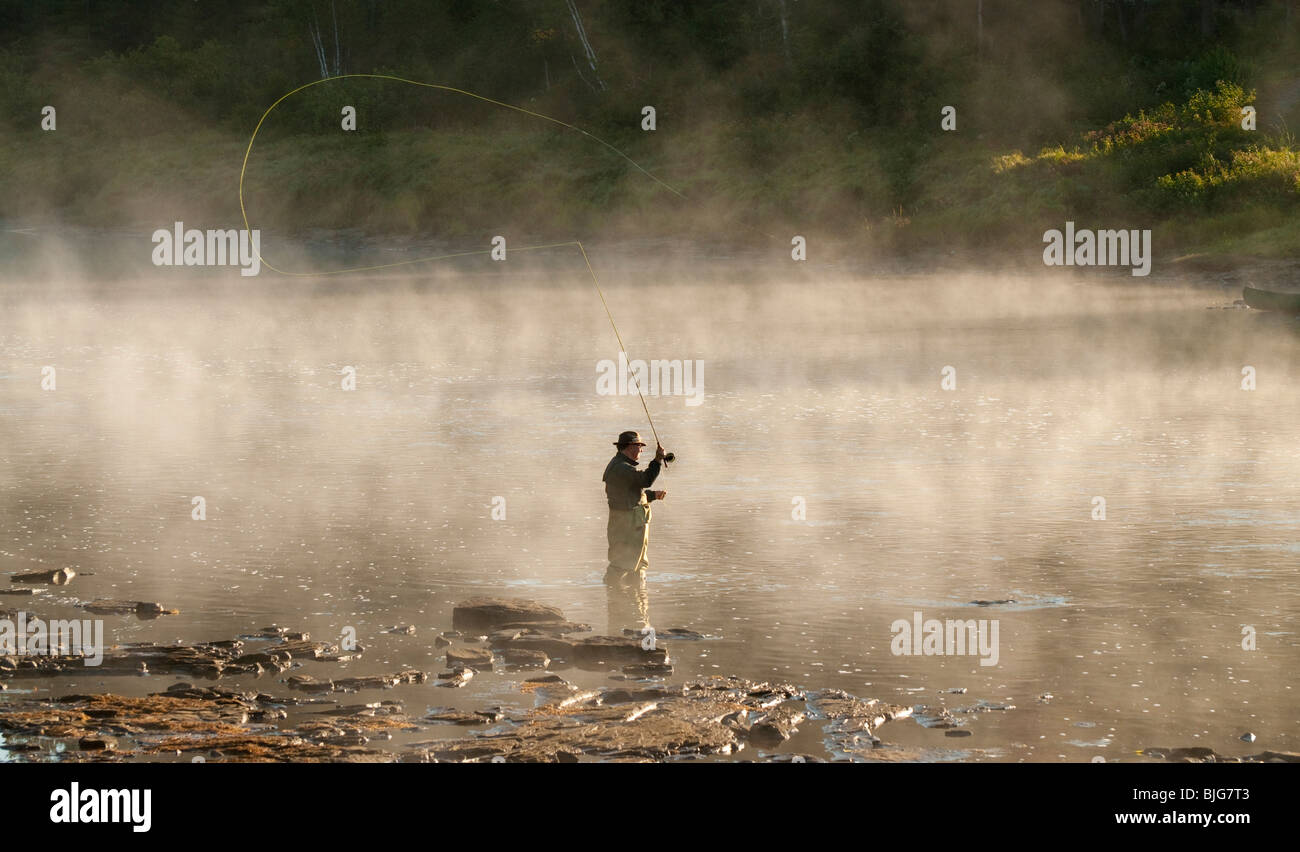 Nouveau-brunswick, Fly Fisherman casting pour le saumon atlantique dans la brume matinale sur la rivière Miramichi Banque D'Images