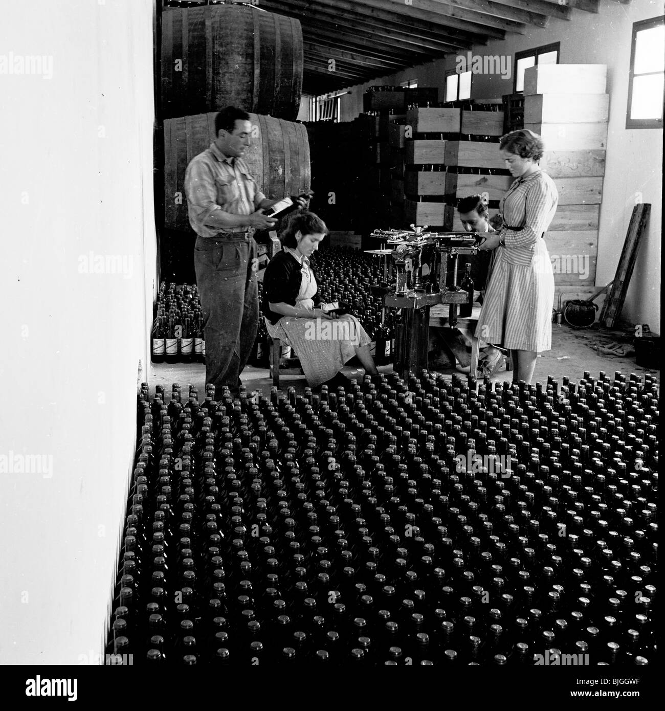 Années 1950. Dans ce tableau historique par J Allan Cash, deux femmes espagnoles et un homme utiliser une machine à mettre des étiquettes sur des bouteilles de vin. Banque D'Images