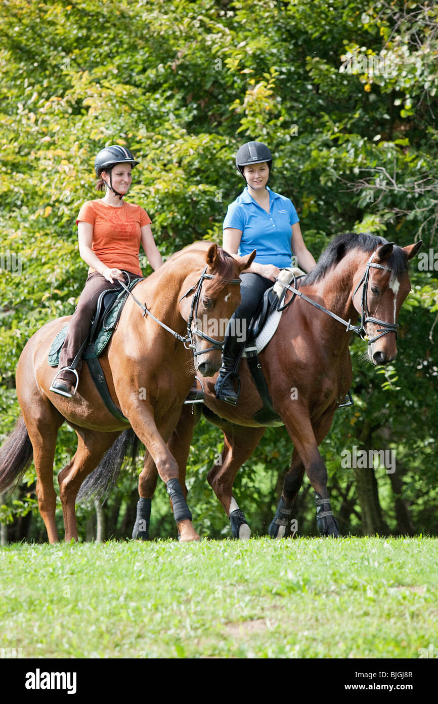 Équitation : deux femmes sur les chevaux Warmblood Banque D'Images