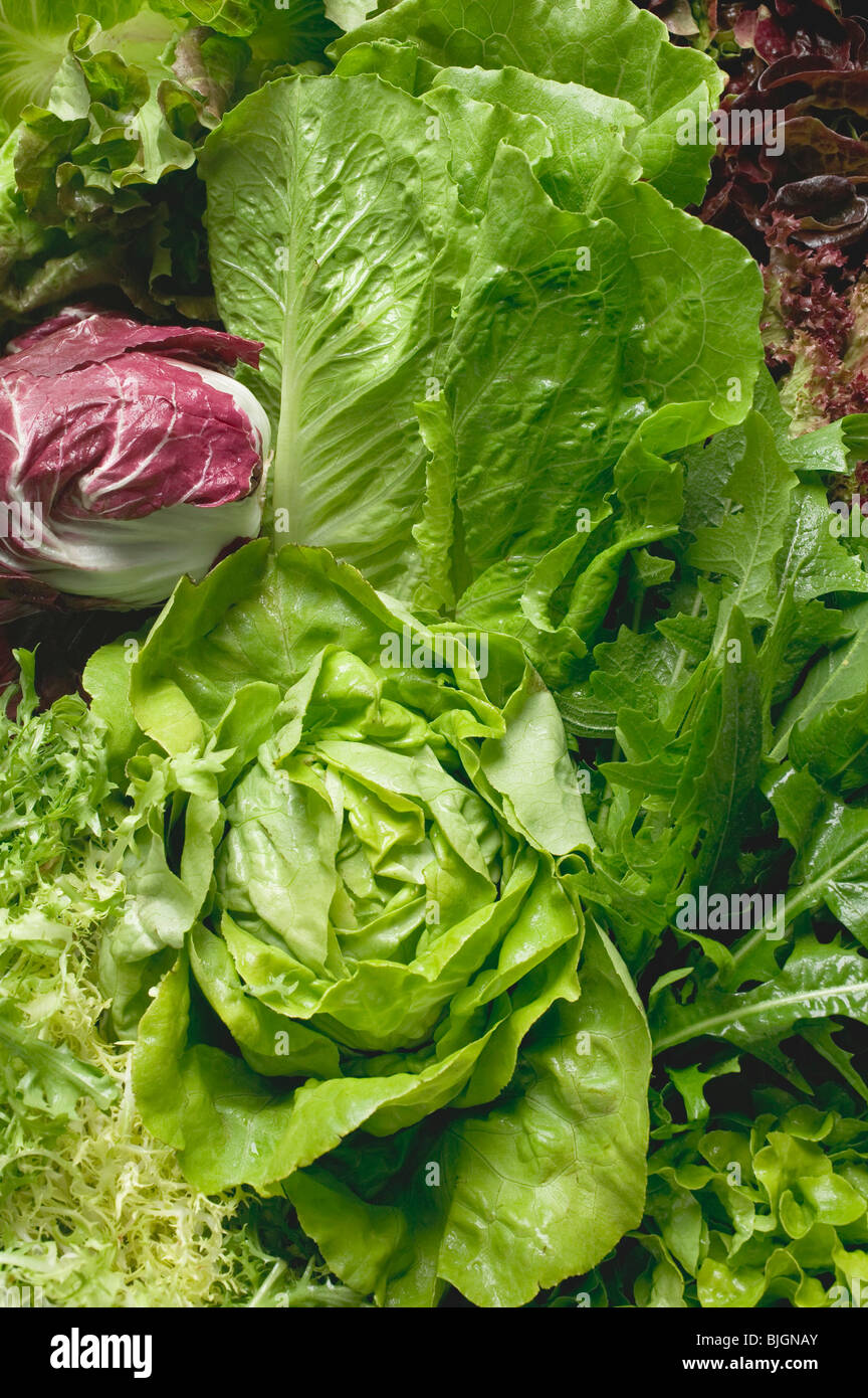 Diverses laitues et légumes à salade (full-frame) - Banque D'Images