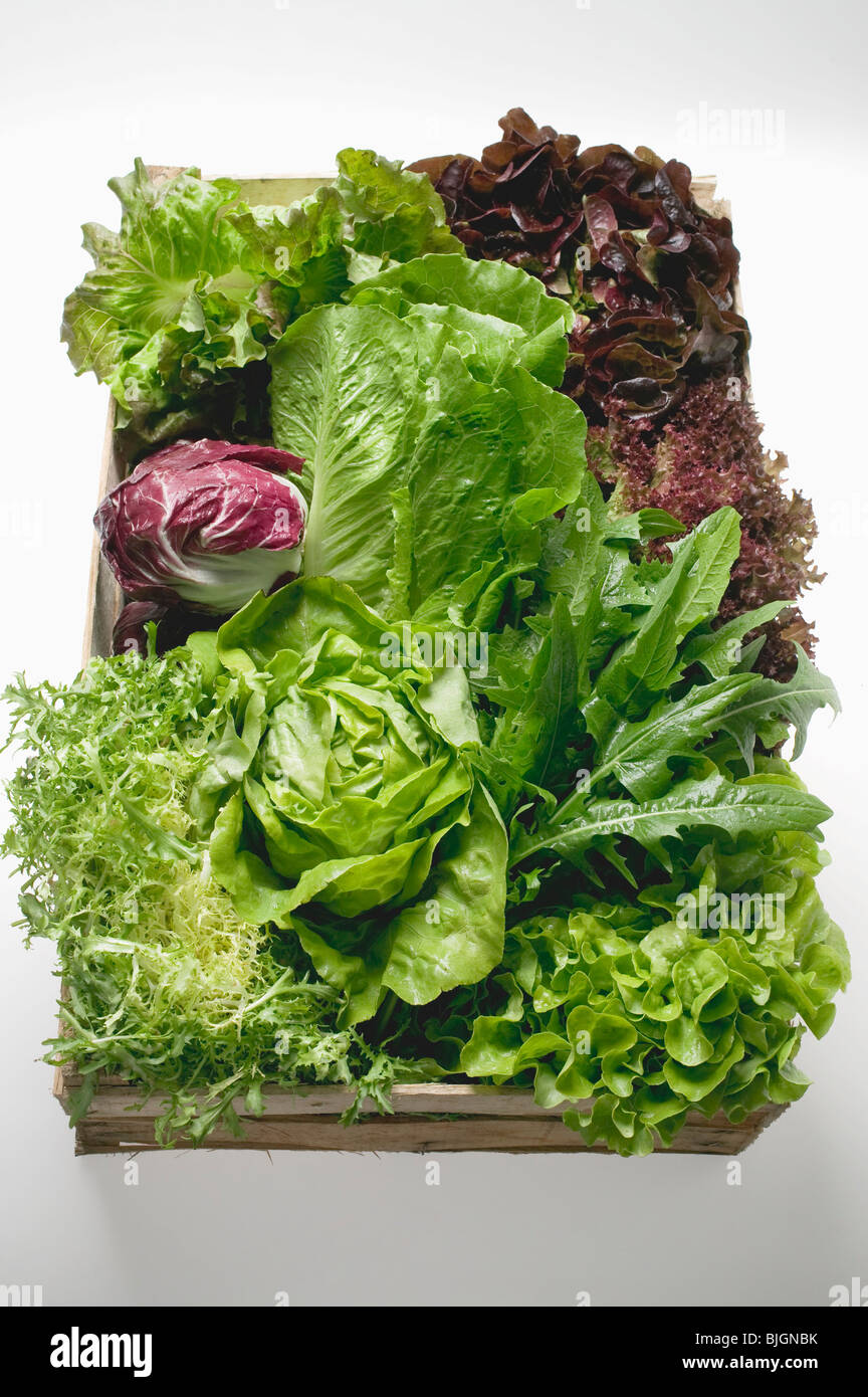 Assortiment de laitues et feuilles de salade dans la caisse - Banque D'Images
