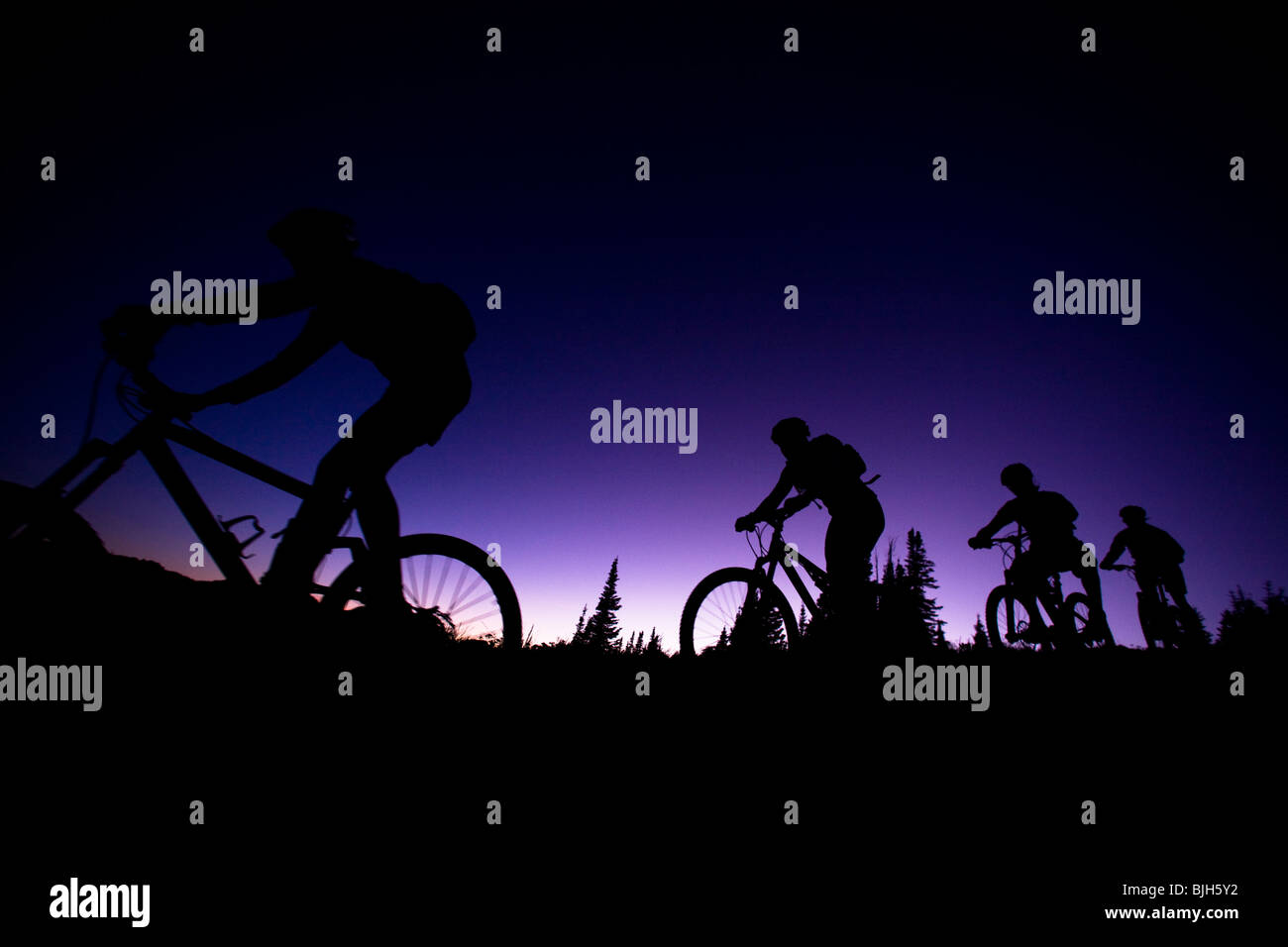 Quatre cyclistes de montagne dans une rangée au crépuscule Banque D'Images