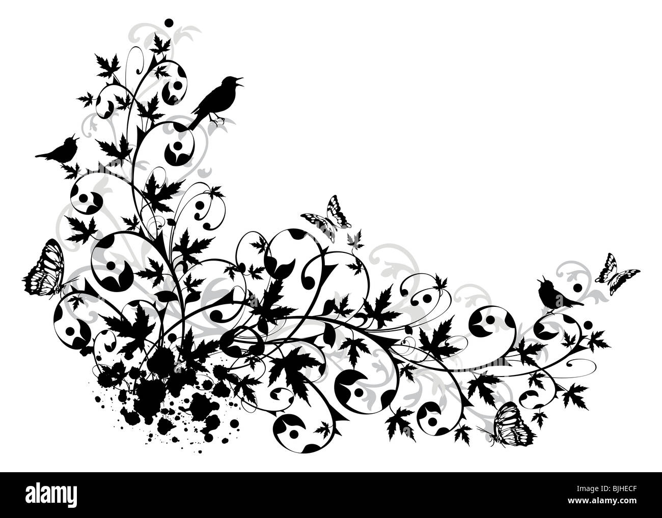 Abstract floral background avec des oiseaux Banque D'Images