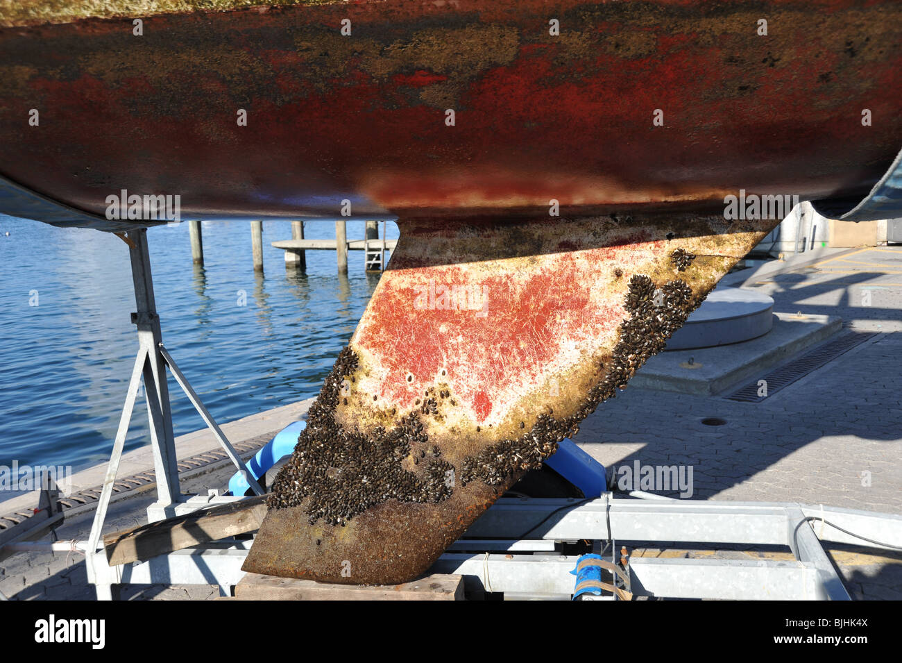 Location de Hull dans une cale sèche sur le lac de Genève, Suisse aux fins de nettoyage et l'entretien de la coque Banque D'Images