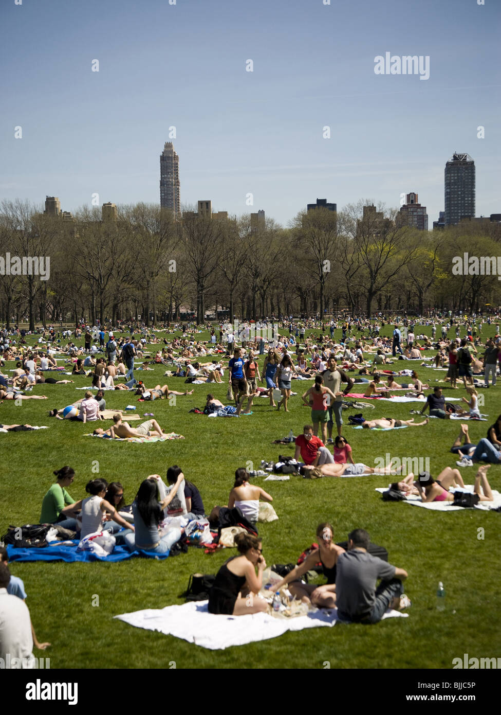 Foule de gens sur l'herbe avec des toits de la ville et ciel bleu Banque D'Images