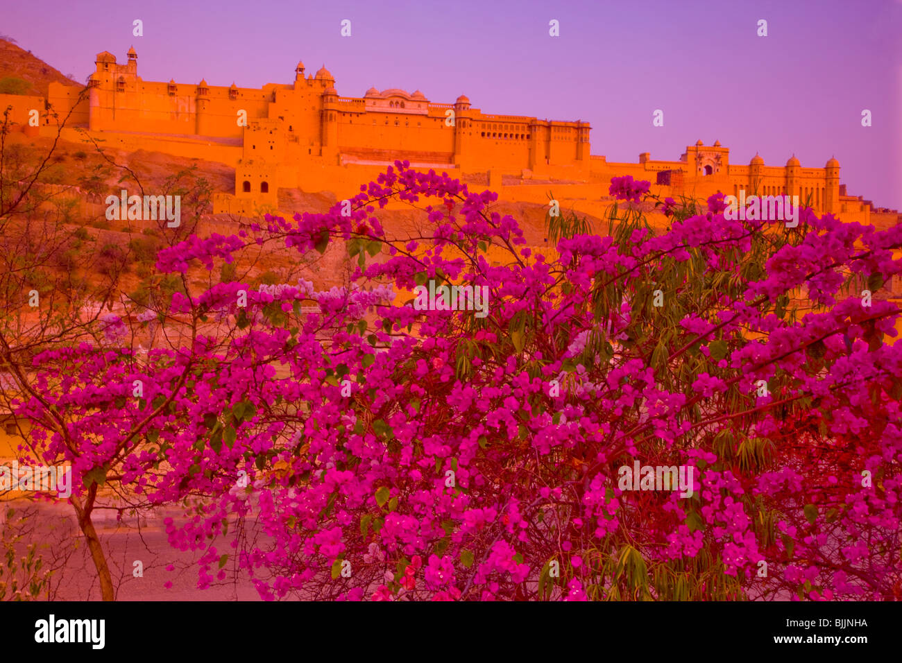 Fort Amber, Rajasthan, en Inde, a été créé en 1592, près de Jaipur Banque D'Images