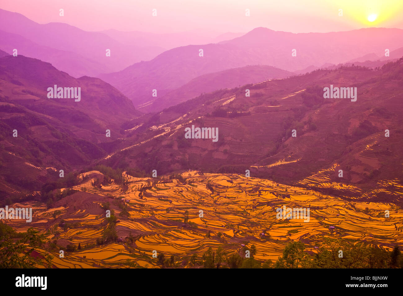 Yuan Yang des terrasses de riz, République populaire de Chine, Province du Yunnan, près de la frontière vietnamienne, Site du patrimoine mondial de l'UNESCO Banque D'Images
