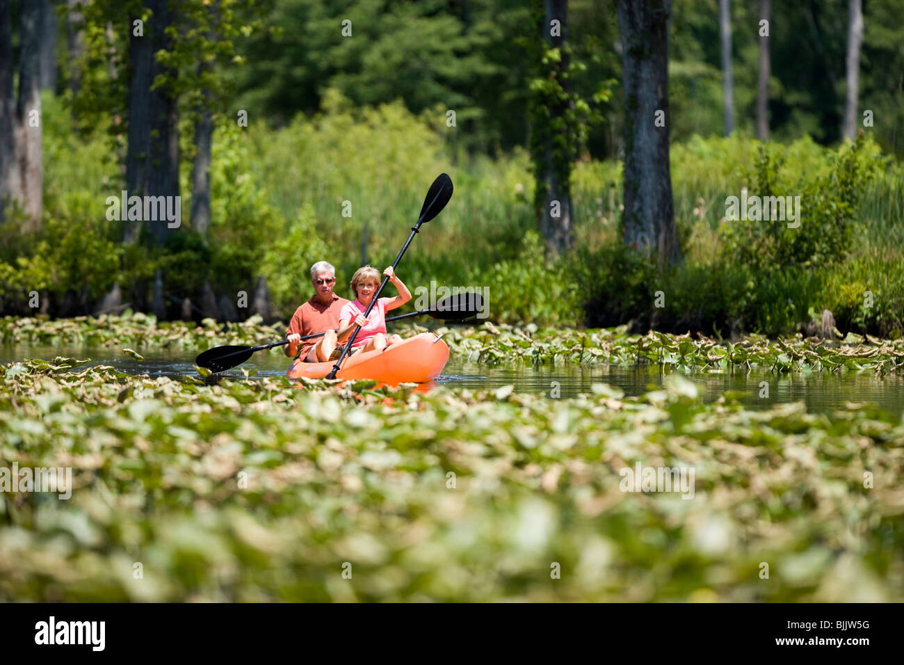 Couple de retraités kayak dans les feuilles de nénuphar dans la navigation intérieure Banque D'Images