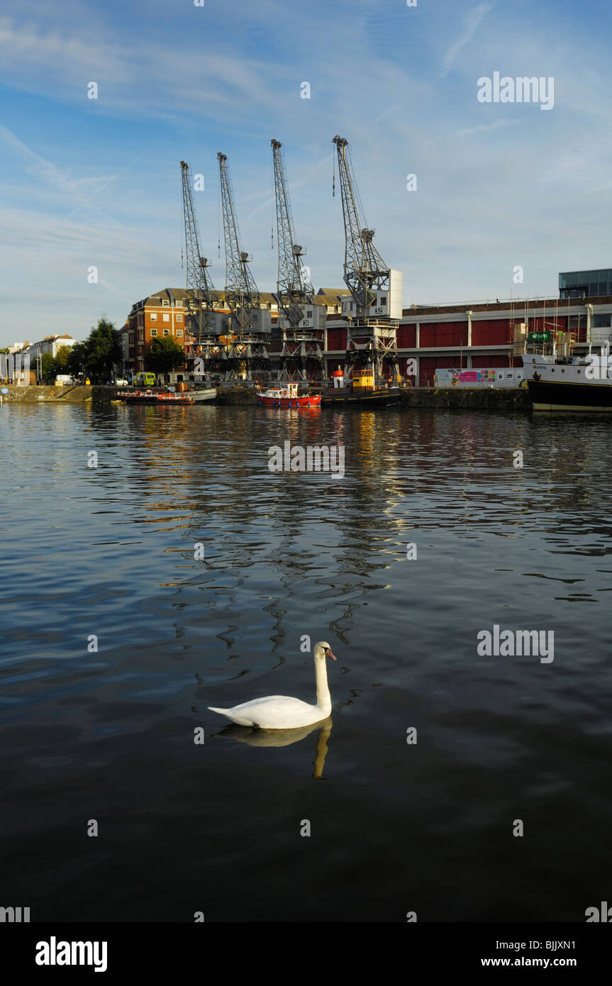 Grues sur Princes Wharf à Floating Harbor, Bristol, Angleterre. Banque D'Images