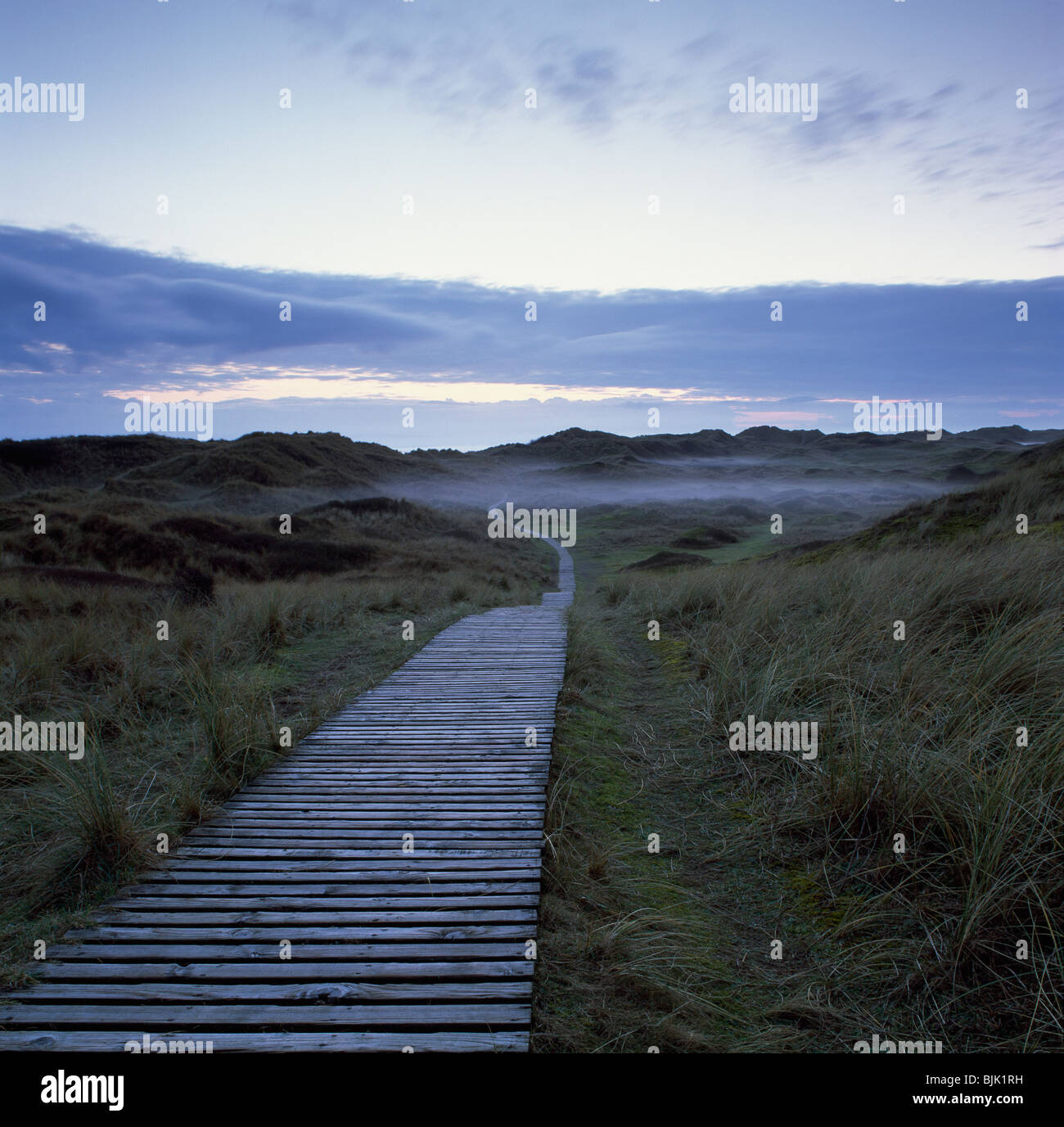 Promenade à Braunton Burrows, North Devon, Royaume-Uni Banque D'Images