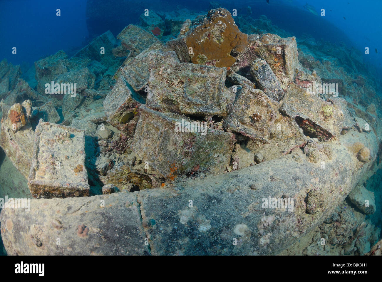 Épave du Thistelgorm dans la mer Rouge, au large de l'Égypte. Banque D'Images