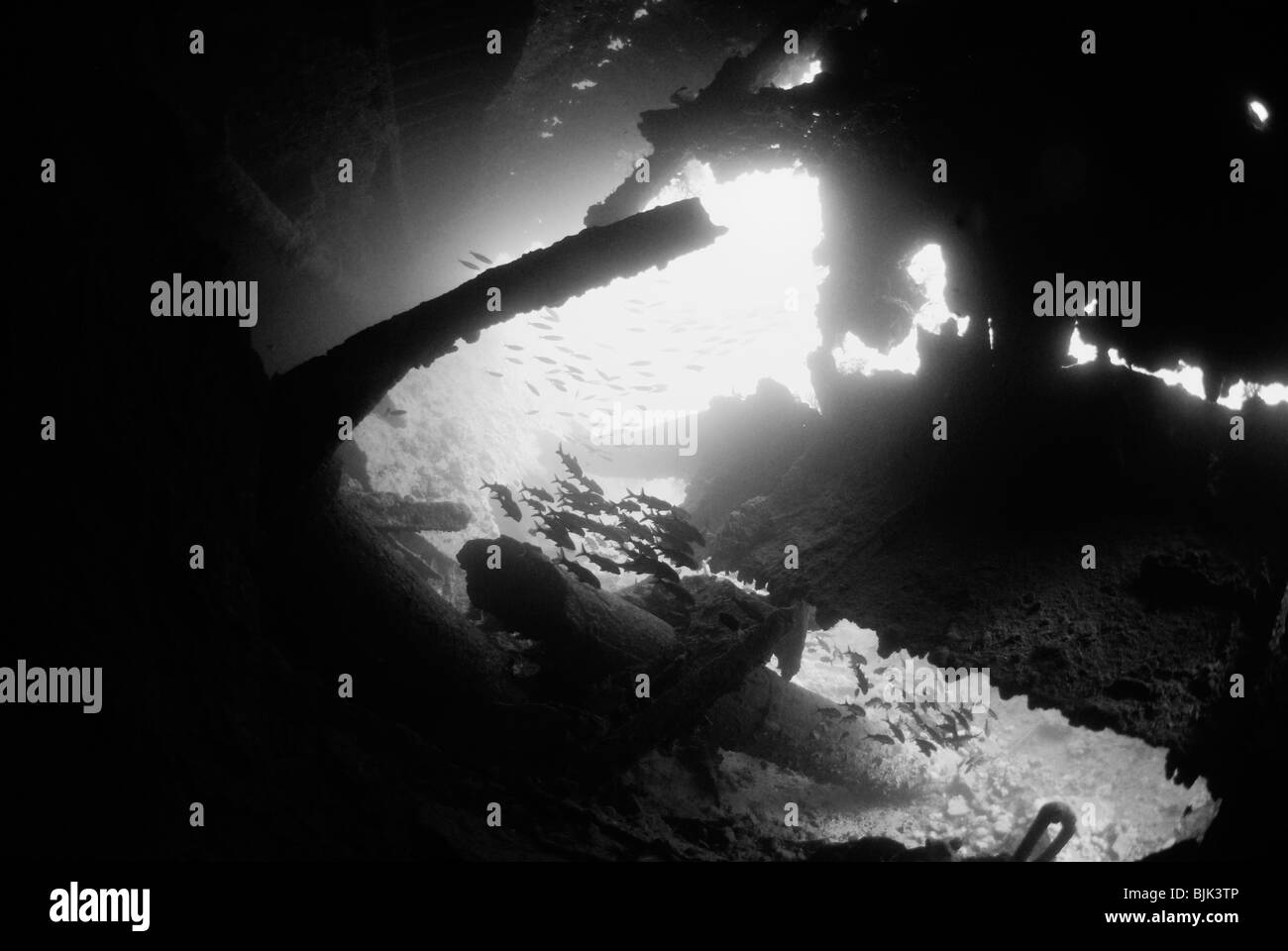 Épave de Dunraven dans la mer Rouge, au large des côtes de l'Egypte Banque D'Images