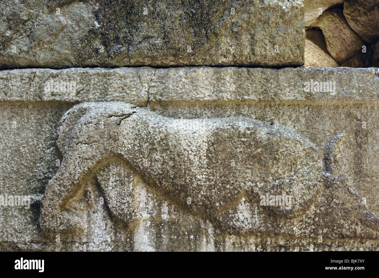 Vue de la porte appelée Porte du Lion. IV siècle avant J.-C. Lion dévorant un taureau. Butrint. République d'Albanie. Banque D'Images