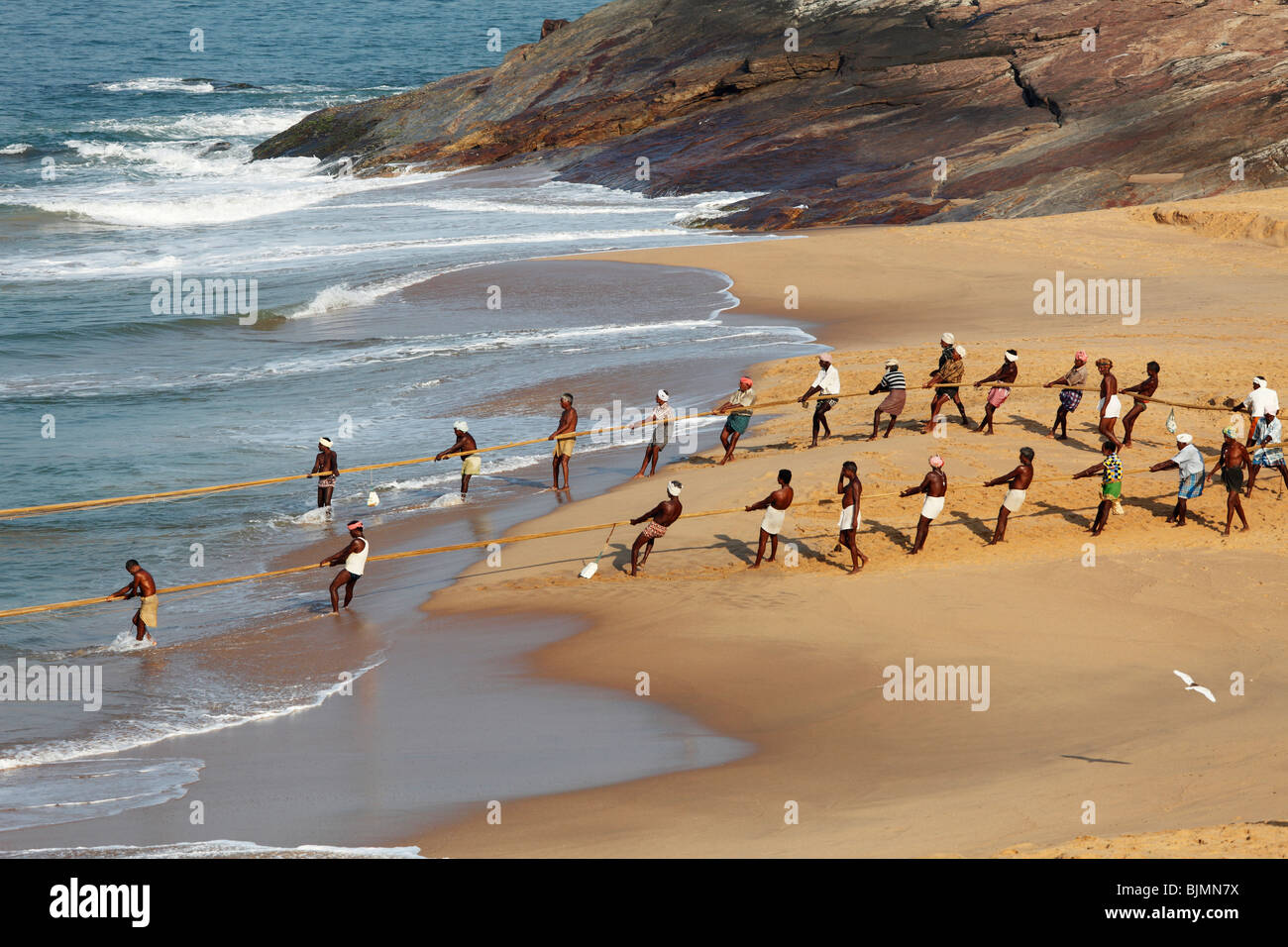 En tirant dans un filet de pêcheurs, la plage au sud de Kovalam, côte de Malabar, Malabar, Kerala, Inde du Sud, Inde, Asie Banque D'Images