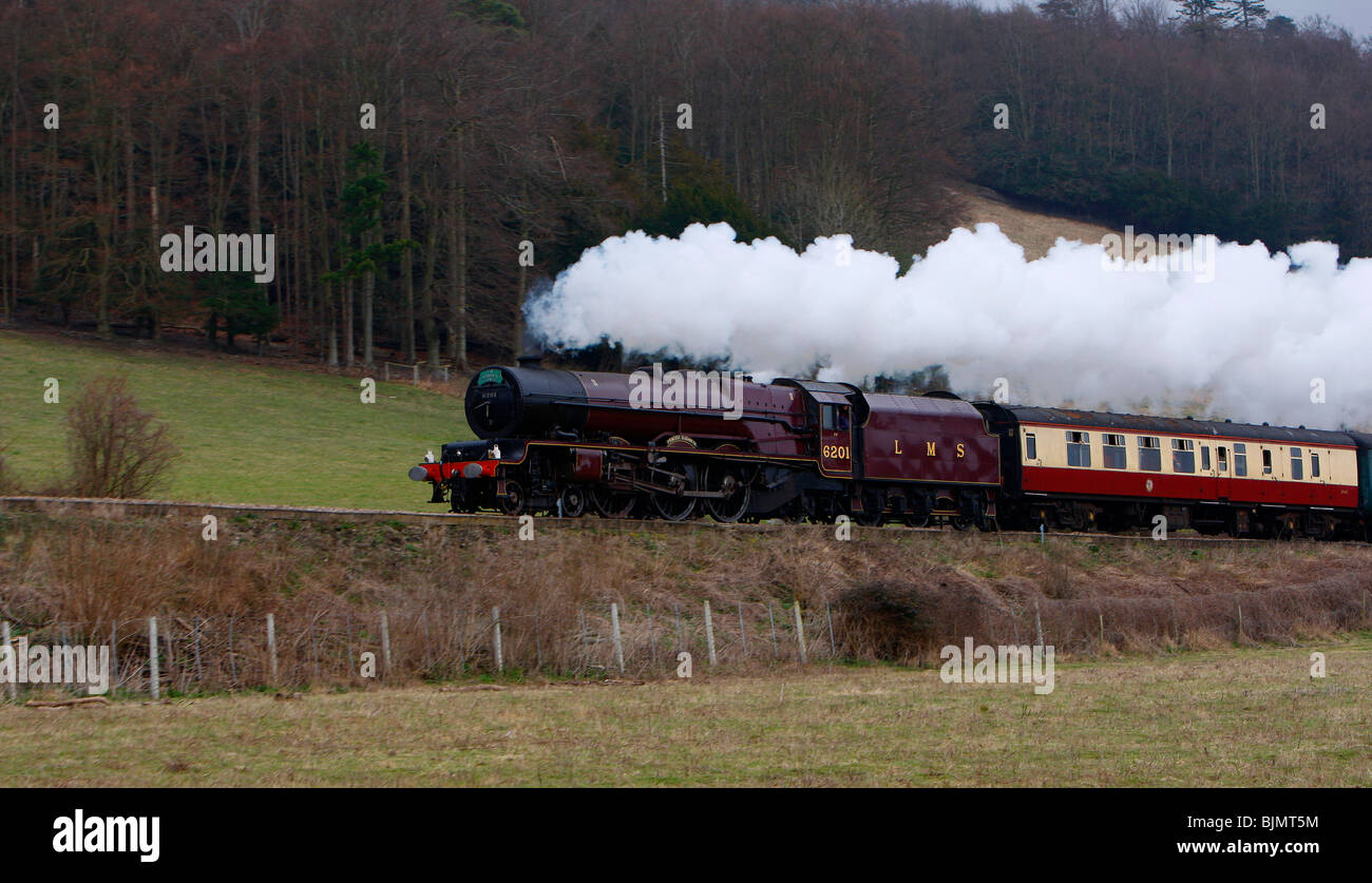 La princesse Elizabeth au passage de vitesse de Ranmore Common. Banque D'Images