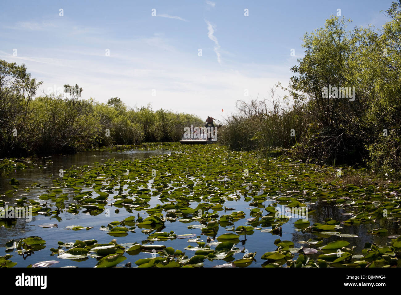 Un hydroglisseur tour passe à travers l'eau lillies et feuillage dans le parc national des Everglades, Miami Florida USA Banque D'Images