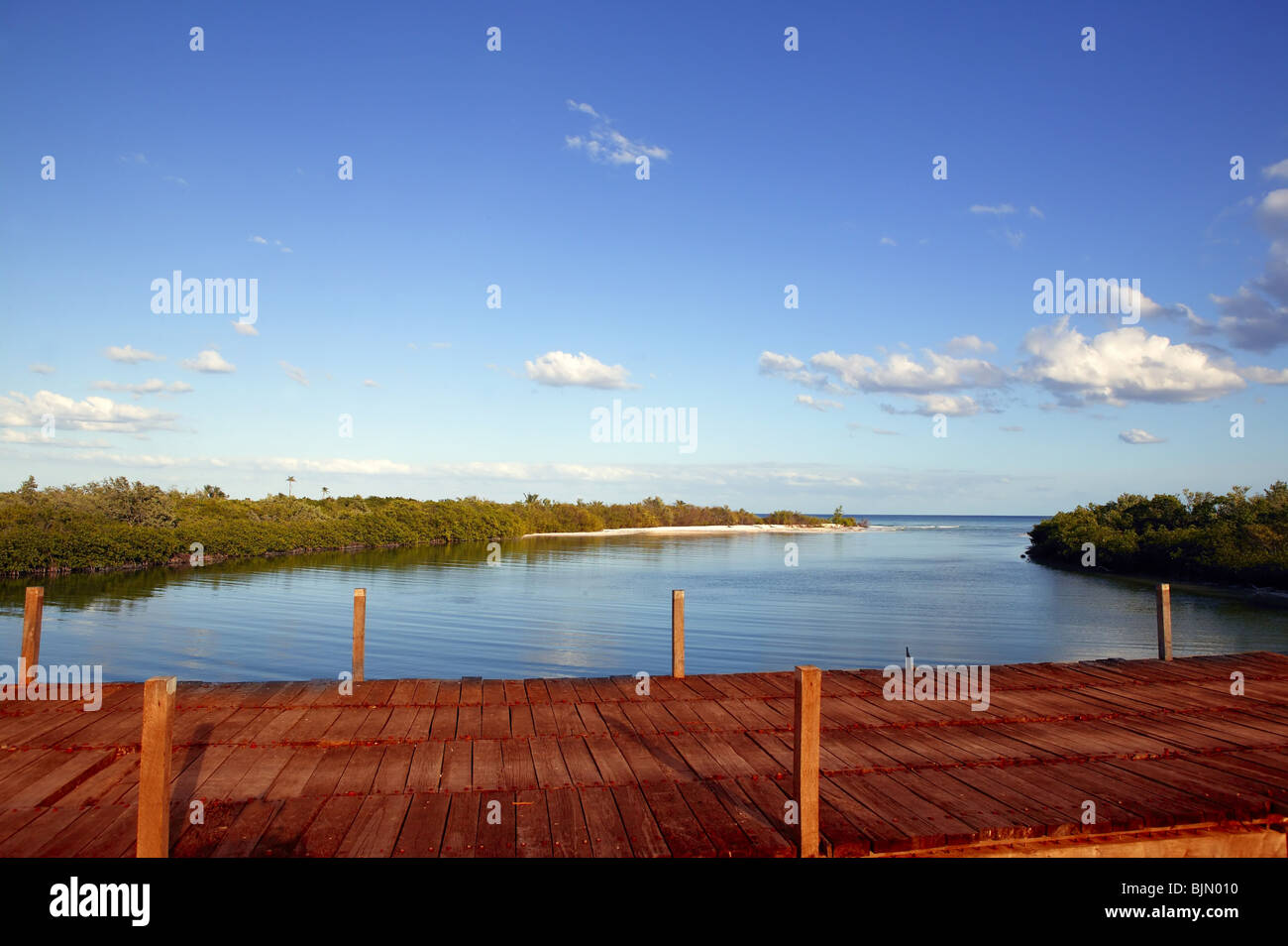 Pont de bois sur le canal de mangroves dans le sud du Mexique Banque D'Images