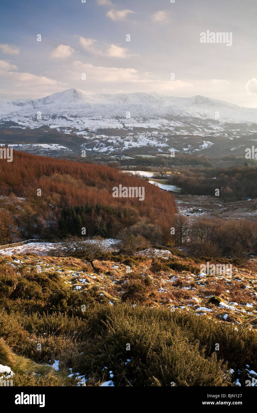 Cadair Idris 893m ou 2930m de haut. Vu de l'Précipice à pied près de Dolgellau Wales UK Banque D'Images