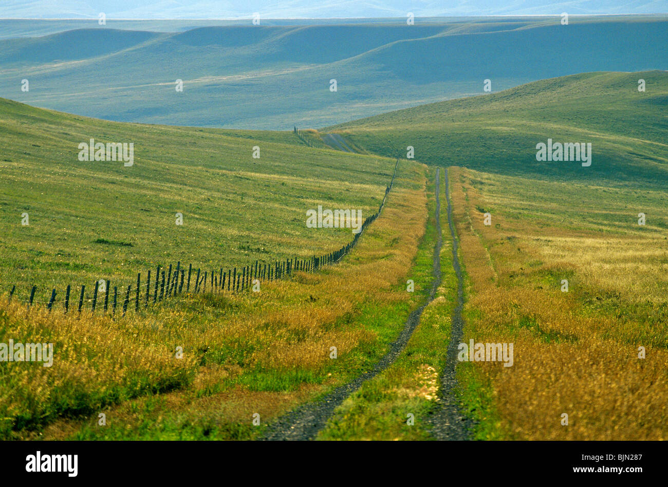 Route de campagne et aux limites de la propriété dans les Grandes Plaines, Teton County, Montana, USA Banque D'Images