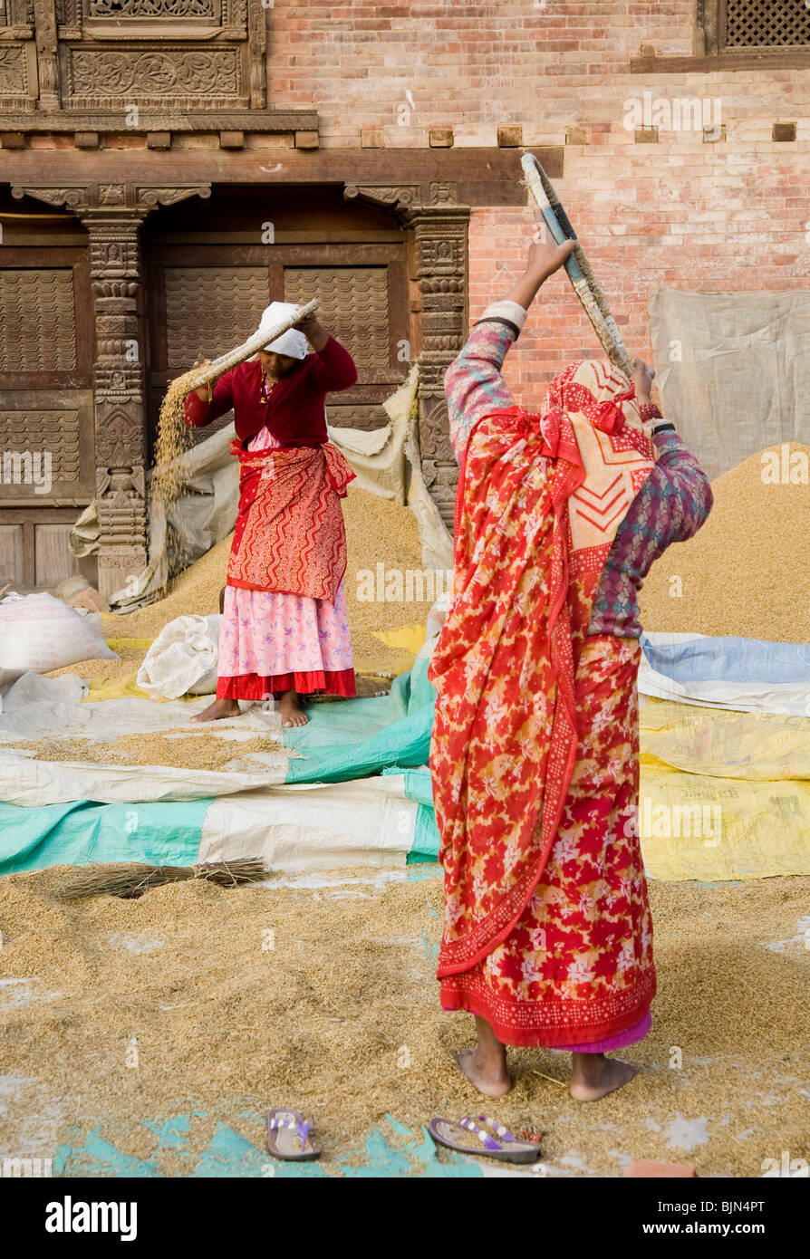 Séparer les femmes grain de l'ivraie au Népal Banque D'Images