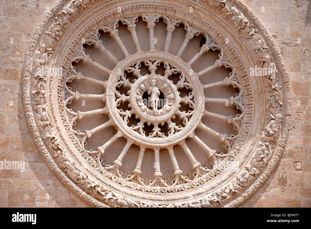 Le 15e siècle rose du cathédrale d'Ostuni, Pouilles, Italie du Sud. Banque D'Images