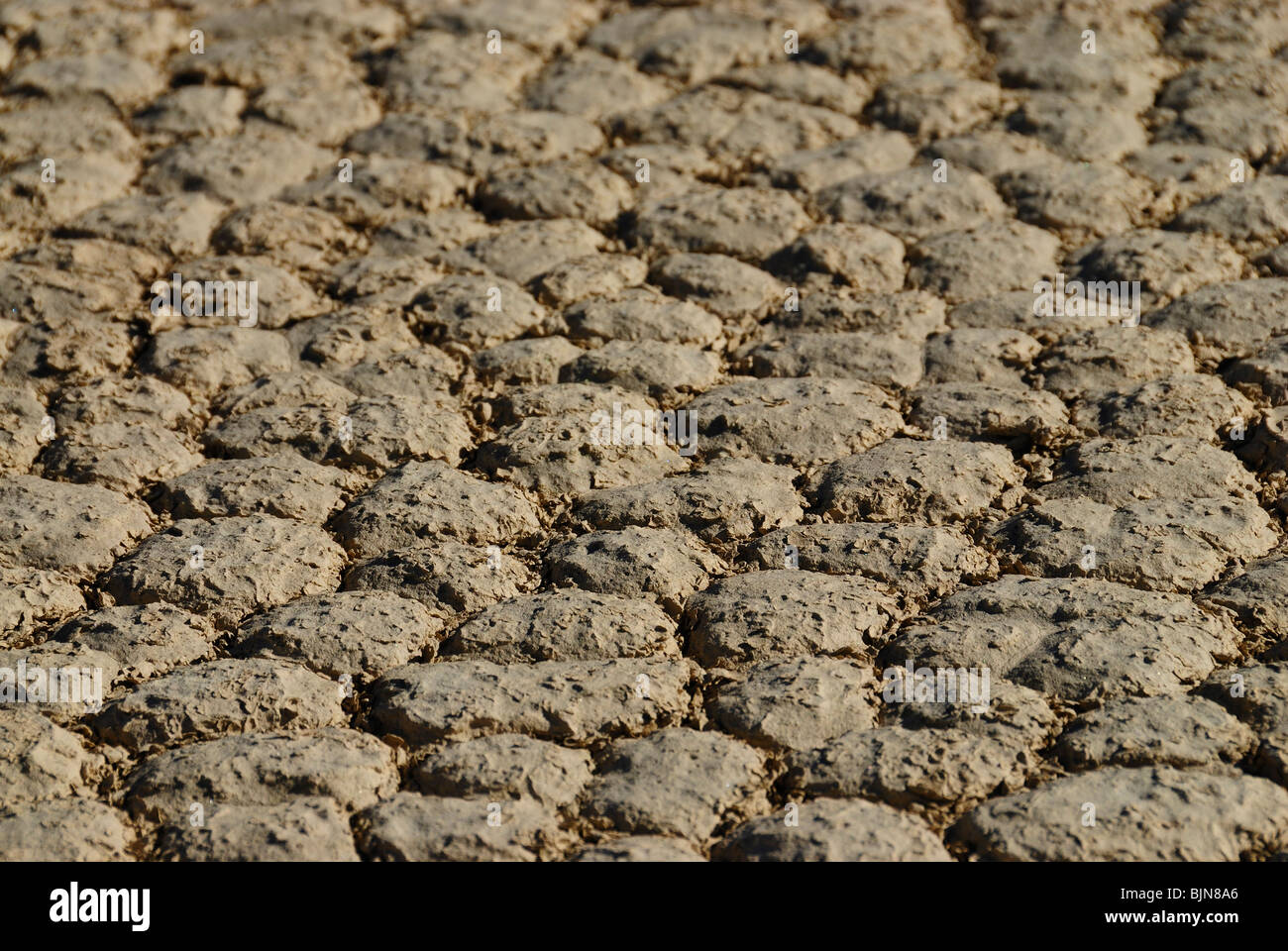 Close up de Racetrack Playa in Death Valley, California State Banque D'Images
