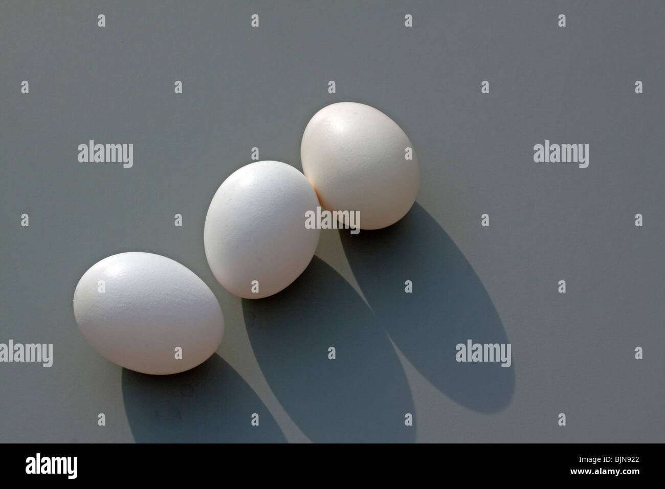 Trois oeufs de poule Banque D'Images