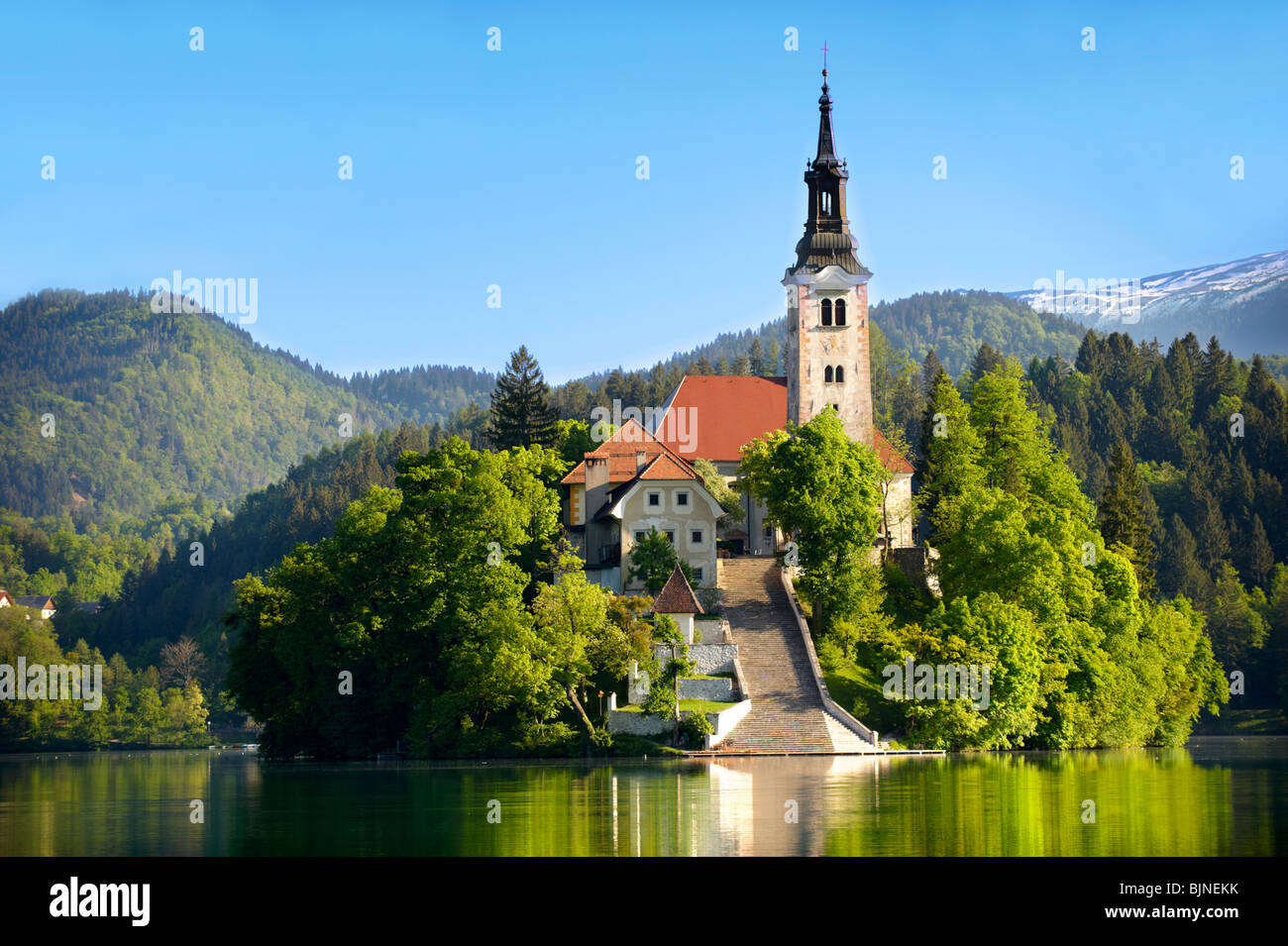 L'Assomption de Marie l'église de pèlerinage au milieu du lac de Bled en Slovénie. Banque D'Images