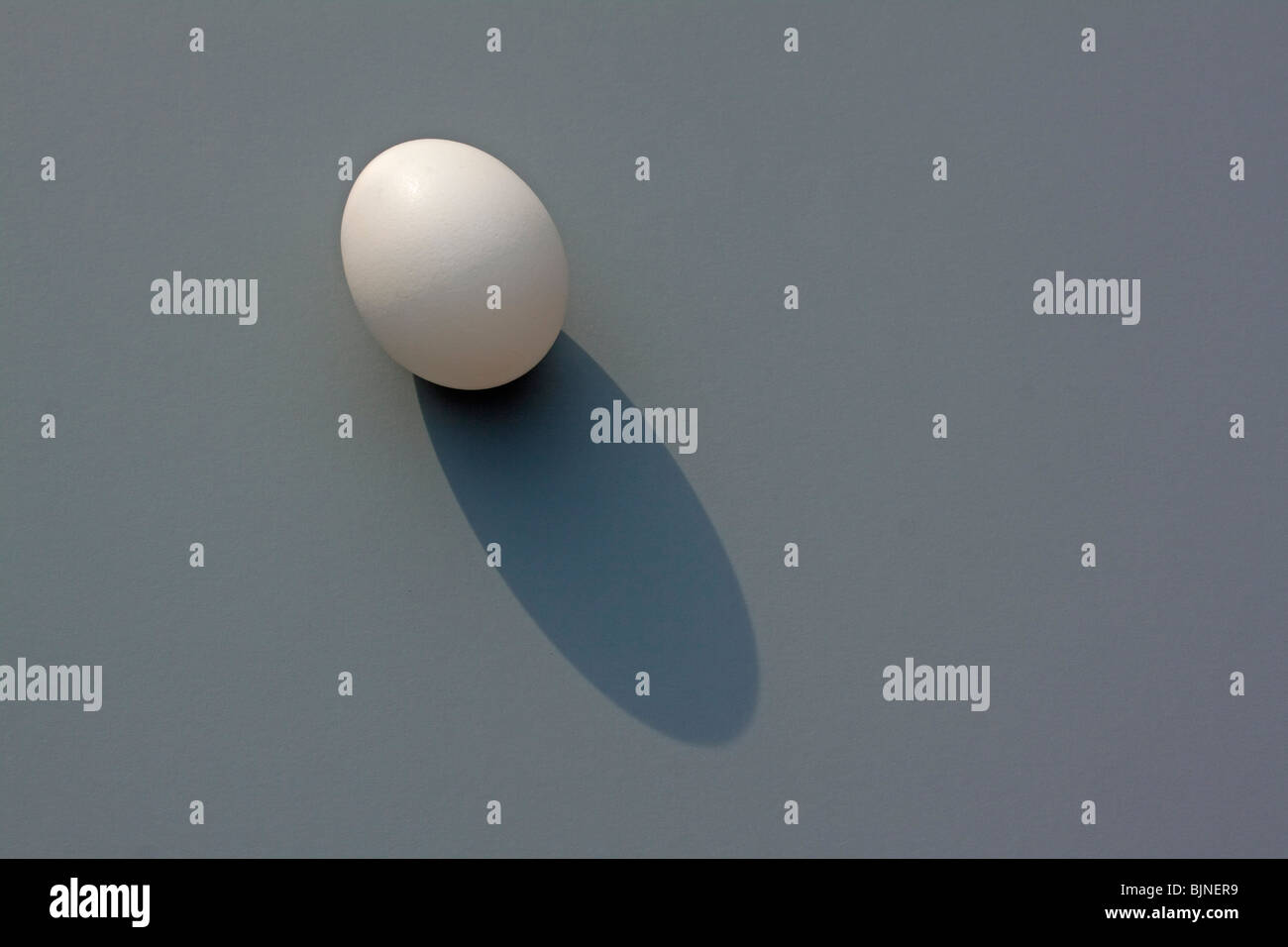 Un poulet oeufs Banque D'Images