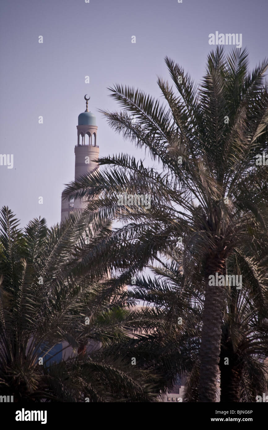 Mosquée du centre-ville de Doha Qatar vue sur les palmiers Banque D'Images