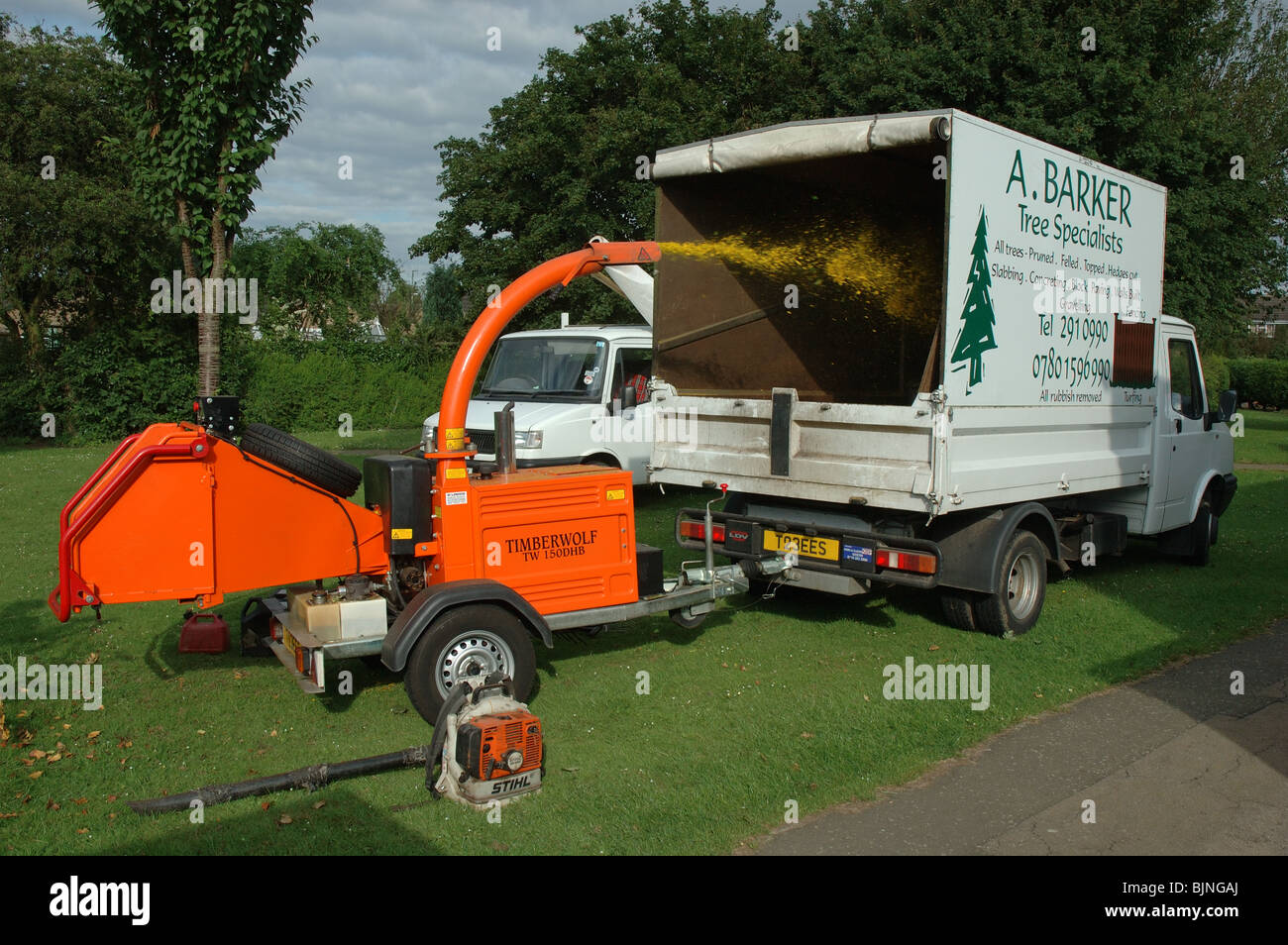 Timberwolf TW150DHB tree shredder, England, UK Banque D'Images